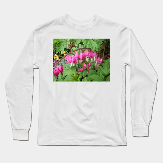 Bleeding Heart Long Sleeve T-Shirt by Rob Johnson Photography